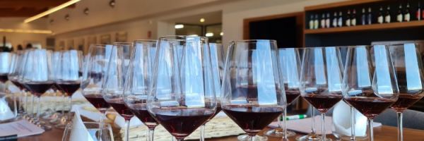 Alto Piemonte in the glass