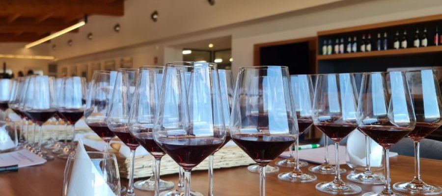 Alto Piemonte in the glass